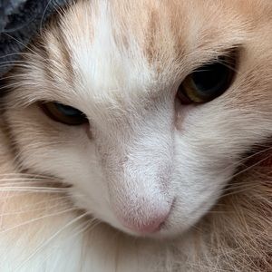 Meet your Posher, Chloe